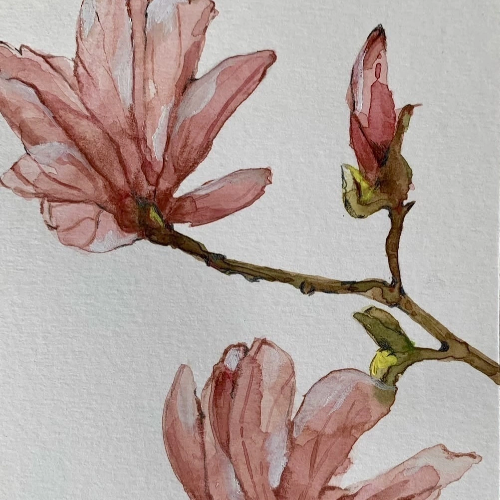 Curso Aquarela para Iniciantes